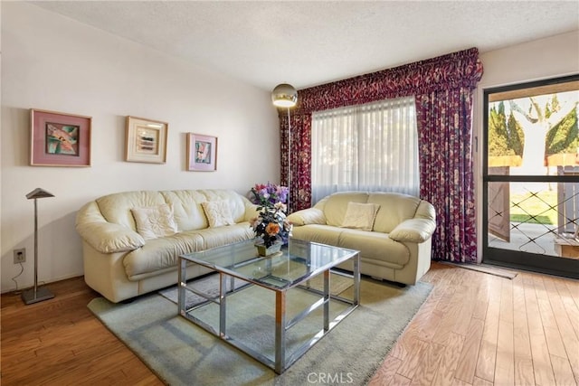 living room with hardwood / wood-style flooring and a wealth of natural light