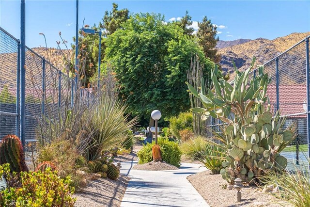 view of property's community featuring a mountain view