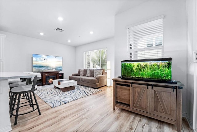 living room with light wood-type flooring