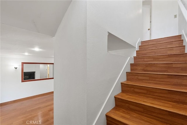 staircase featuring wood-type flooring