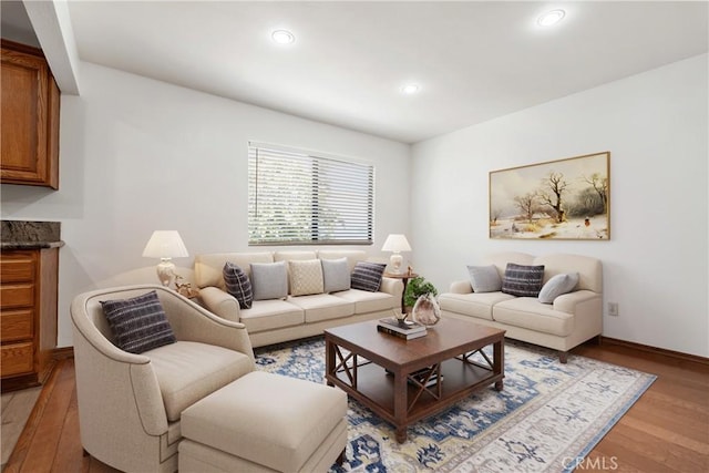 living room with wood-type flooring