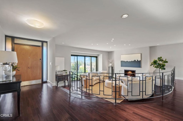 foyer featuring dark wood-type flooring