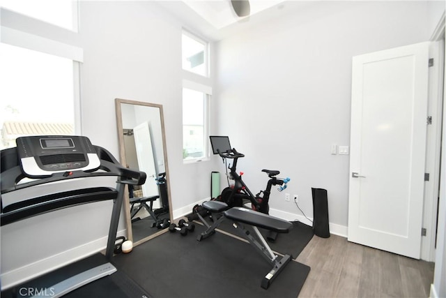 workout area featuring hardwood / wood-style flooring, plenty of natural light, and a towering ceiling