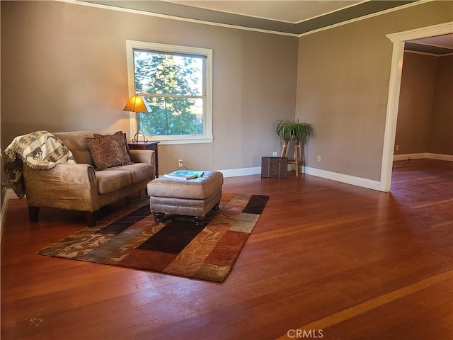 living room featuring crown molding and dark wood-type flooring