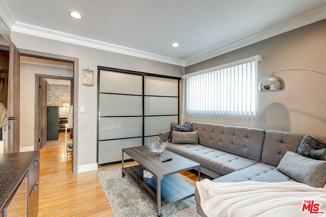 living room with crown molding and light hardwood / wood-style flooring