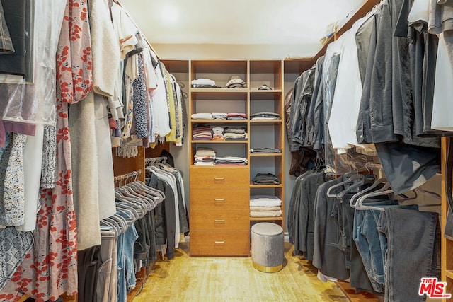 spacious closet featuring light hardwood / wood-style flooring