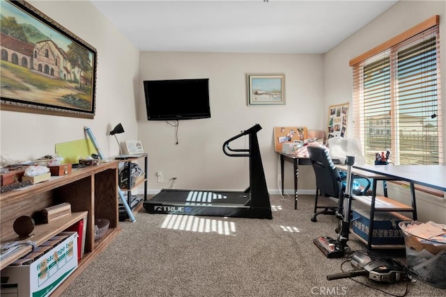 workout area featuring carpet