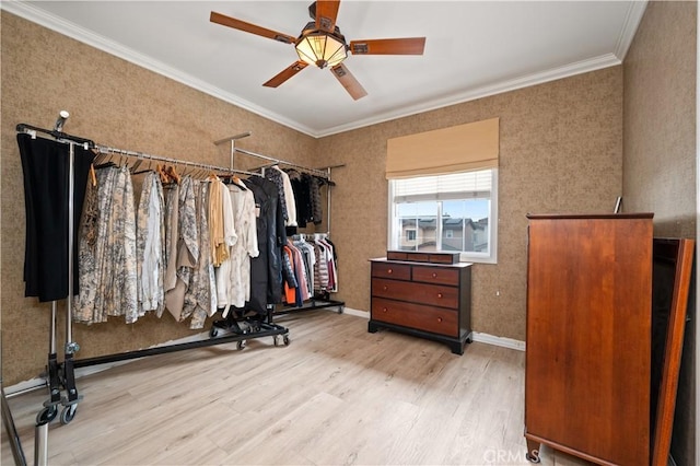 walk in closet featuring a ceiling fan and light wood-style flooring