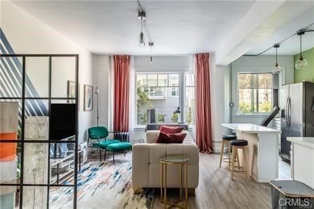 living area with light hardwood / wood-style floors and plenty of natural light