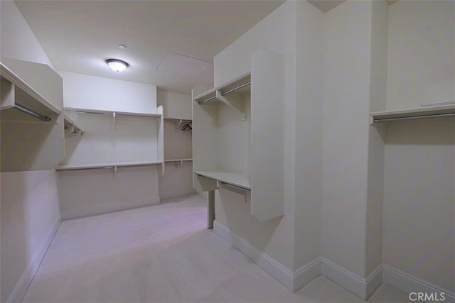 spacious closet featuring light colored carpet