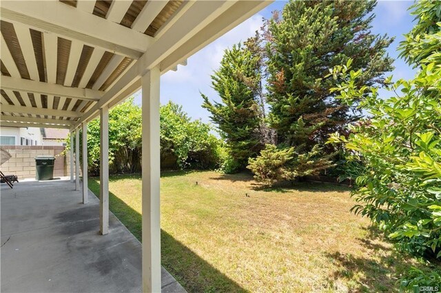 view of yard with a patio