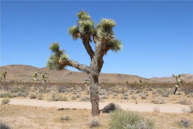 60337 Belfair Dr, Joshua Tree CA, 92252 land for sale