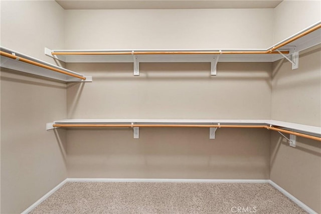 walk in closet with carpet flooring