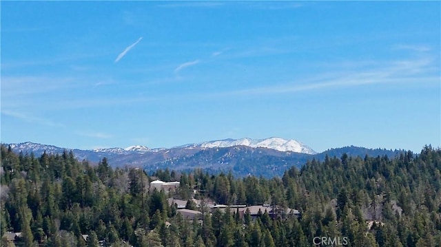 905 Madera Ln, Lake Arrowhead, CA 92352 - view of mountain background with a forest