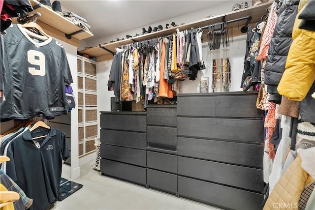 view of spacious closet