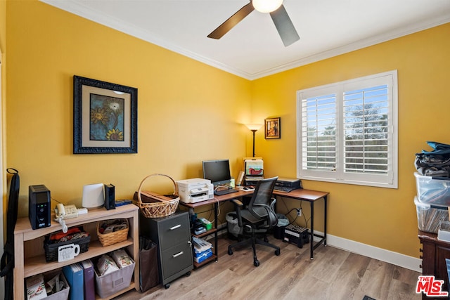 office space featuring ceiling fan, light wood-type flooring, and crown molding