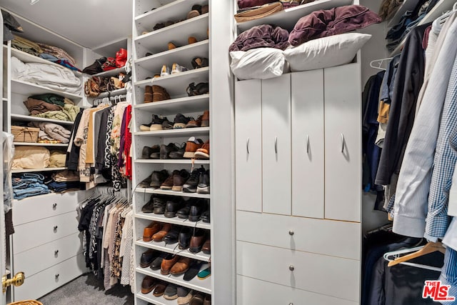 walk in closet with carpet