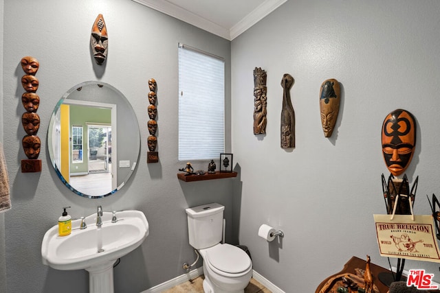 bathroom featuring toilet, crown molding, and sink