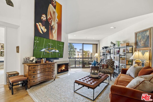 living room featuring a high ceiling and hardwood / wood-style flooring