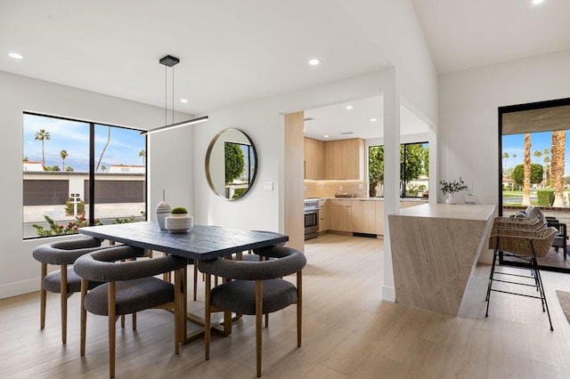 dining room featuring light hardwood / wood-style floors