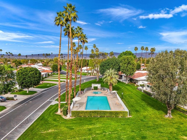 view of pool featuring a patio area and a lawn