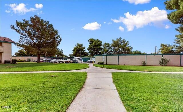 view of community with a yard