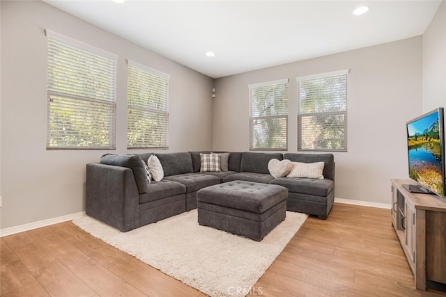 living room featuring light hardwood / wood-style flooring