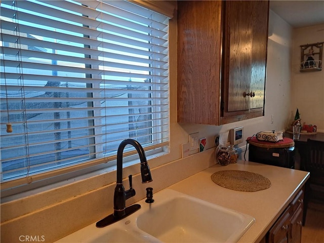 bathroom with plenty of natural light and sink