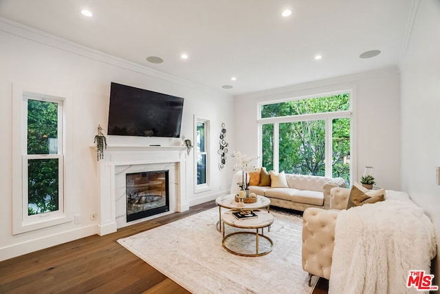 living room with a premium fireplace, ornamental molding, and dark wood-type flooring