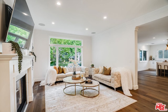 living room featuring crown molding and dark hardwood / wood-style flooring