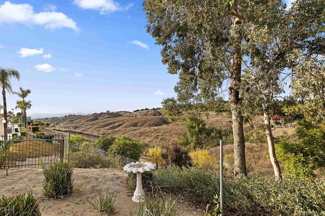 view of yard with a rural view