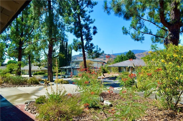 view of yard featuring a mountain view