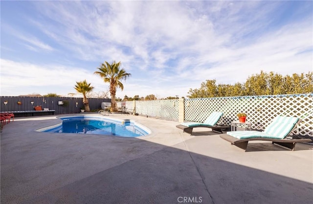 view of swimming pool with a patio area