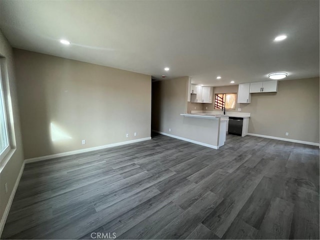 unfurnished living room featuring sink and wood-type flooring