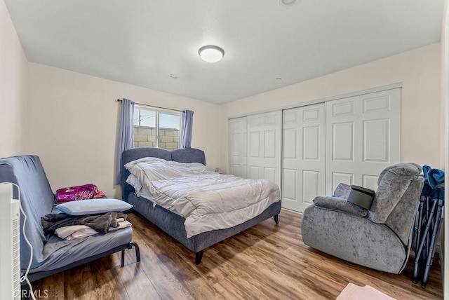 bedroom with wood-type flooring and a closet