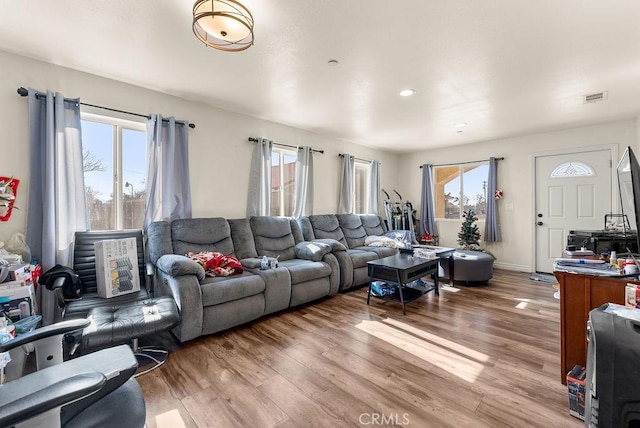 living room featuring wood-type flooring and plenty of natural light