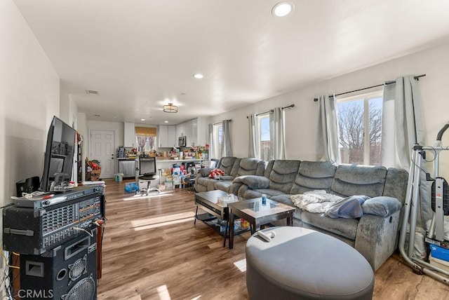 living room with light hardwood / wood-style flooring and plenty of natural light