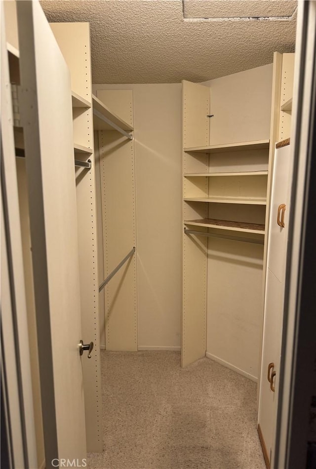 walk in closet with light colored carpet