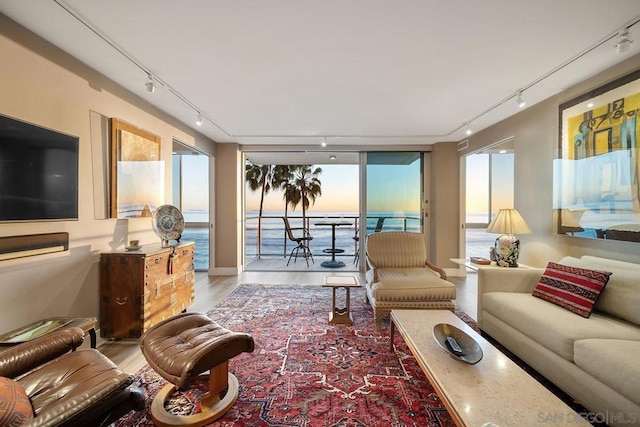 living room featuring light hardwood / wood-style floors