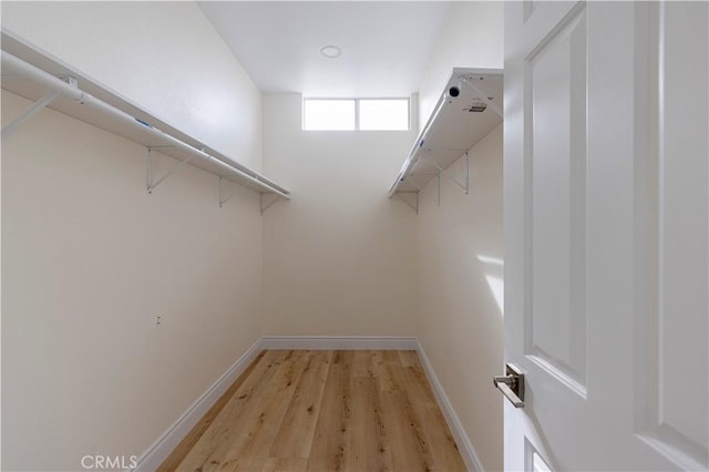 walk in closet featuring light hardwood / wood-style floors