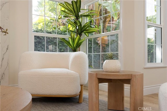 living area featuring wood-type flooring