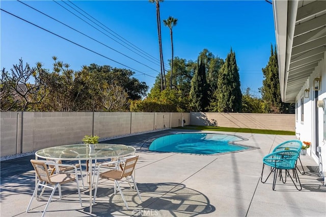 view of swimming pool with a patio