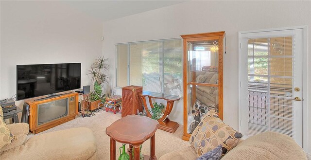 living room with carpet flooring