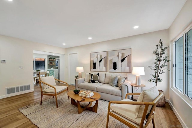 living room featuring light hardwood / wood-style floors