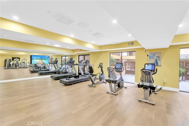 exercise room featuring light hardwood / wood-style floors