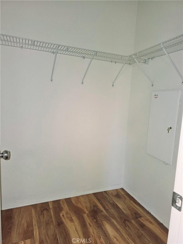 spacious closet featuring dark wood-type flooring