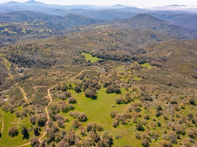 342ACRES Mesa Grande Rd, Santa Ysabel CA, 92070 land for sale