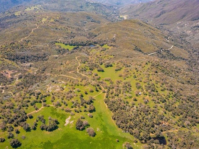 342ACRES Mesa Grande Rd, Santa Ysabel, CA 92070 - photo 14