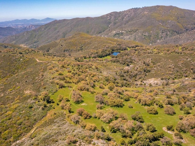 342ACRES Mesa Grande Rd, Santa Ysabel, CA 92070 - photo 33