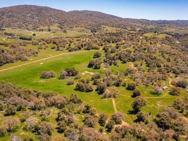 342ACRES Mesa Grande Rd, Santa Ysabel, CA 92070 - photo 19